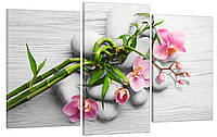 Модульная картина Декор Карпаты в гостиную спальню для интерьера Розовая орхидея на камнях SP, код: 7008799