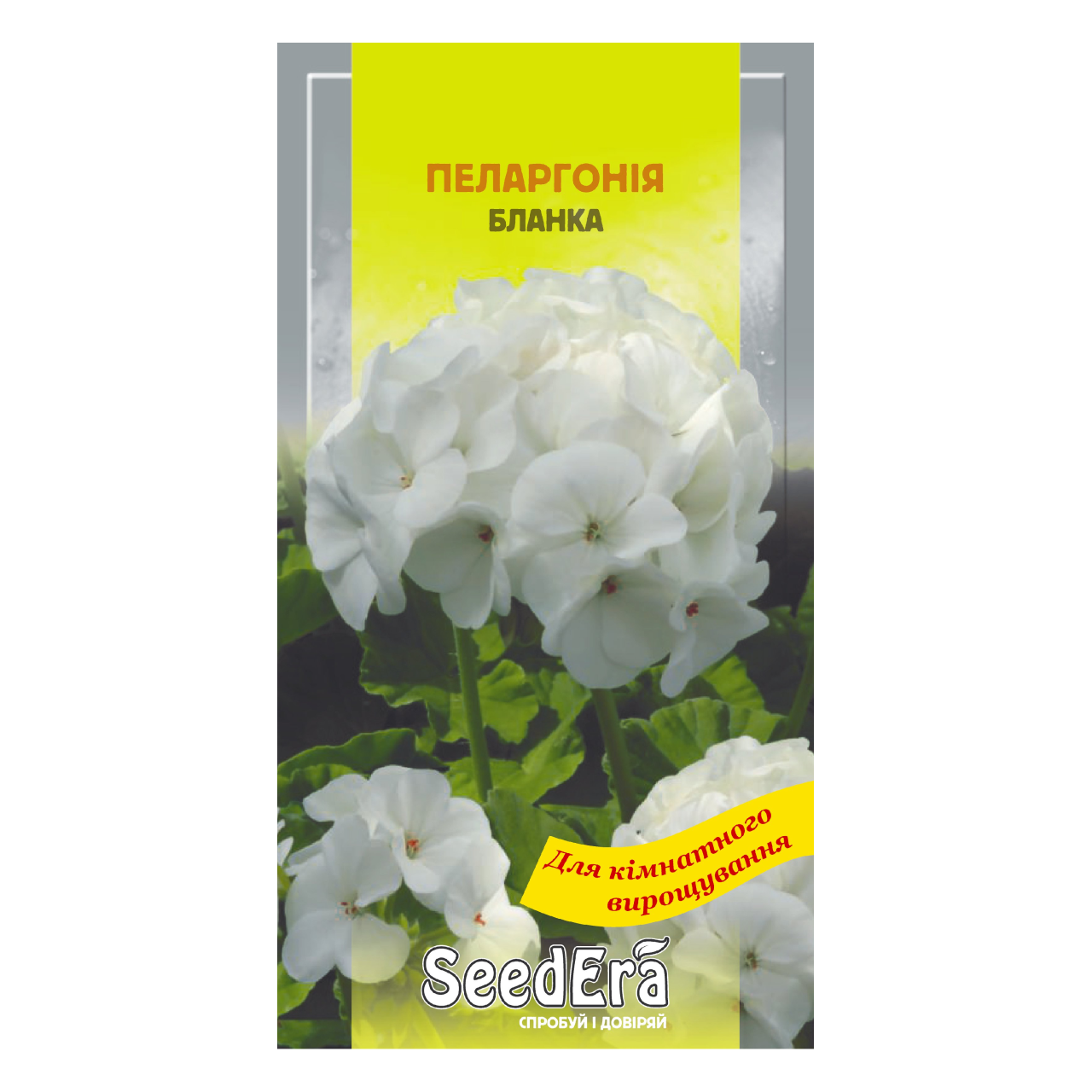 Насіння Пеларгонія Бланка 5 шт