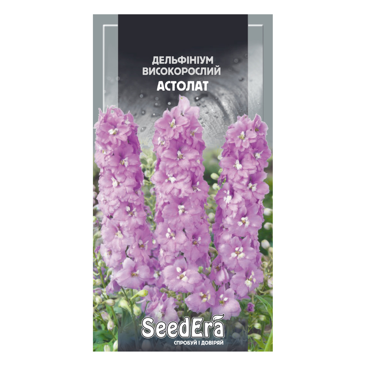 Насіння Дельфініум високорослий Астолат 0,1 г багаторічний, фото 1