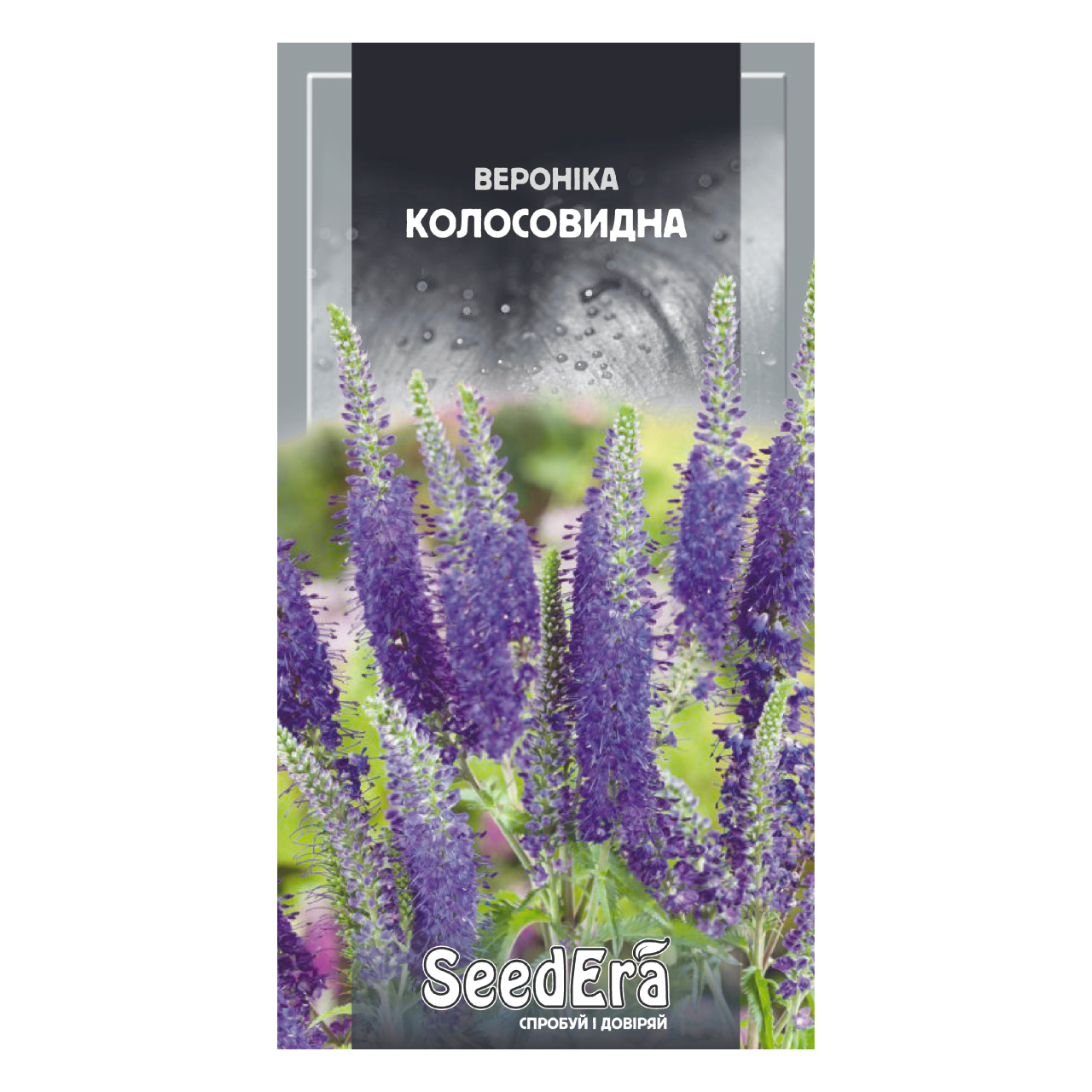 Насіння Вероніка колосовидна 0,1 г багаторічна