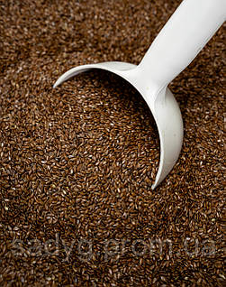 Лляне насіння 500г