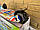 Самокат триколісний Scooter MG002B Графіті, фото 3