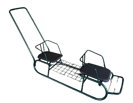 Дитячі санки для двійні "Найкращі друзі", з ручкою штовхачем Зелені