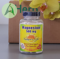Nature's Life, магний с витамином В6, 500 мг, 100 капсул