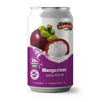 Фруктовий напій Jungle Fruits Mangosteen 330ml