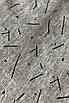 Труси сімейні чоловічі сірого кольору Уцінка р.4 175669T Безкоштовна доставка, фото 4