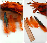 50 шт. Набор Декоративные перья с переходом цвета размер 10-19см