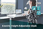 Стол DIGITUS Electric Height Adjustable, 73-123cm, white, фото 8