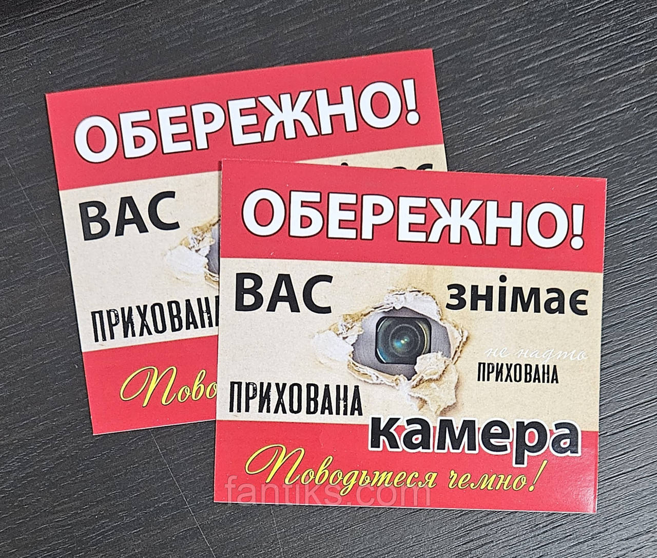 Наклейка напівжартівлива "Вас знімає прихована камера" - 10.5 см х 9 см