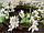 Вінок декоративний весняний жасміновий, фото 3