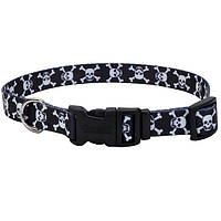 Ошейник для собак Coastal Pet Attire Styles 2х35-50 см (06621_SKZ20)