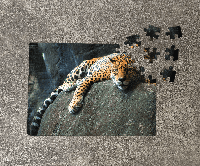 Пазл Леопард на камне. Картон А5, 80