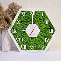 Часы сота с мхом, часы настенные из стабилизированного мха, эко часы с дерева, деревянные часы с мхом 40см