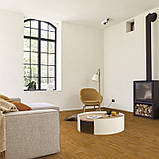 Побутовий лінолеум Beauflor Harmony Summer Oak 623M - ширина 2,5 метри /безкоштовна доставка/, фото 4