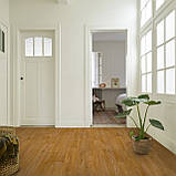 Побутовий лінолеум Beauflor Harmony Summer Oak 623M - ширина 2,5 метри /безкоштовна доставка/, фото 5