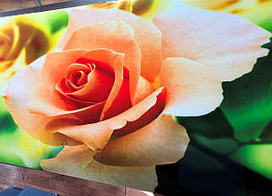 Наклейка на шафу-купе 220 х 60 см на 2  двері персикова троянда (БП_а_fl10627), фото 3