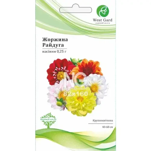 Жоржина Райдуга (червень-жовтень) 40-60см 0,25гр ТМ WestGard, фото 1
