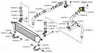 Патрубок интеркулера 14460BB30A Nissan Qashqai 1.5 dci ниссан кашкай