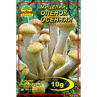 Мицелий грибов Насіння країни Опенок осенний 10 г XE, код: 7718795