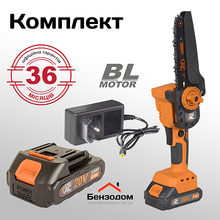 Пила акумуляторна Tex.AC TAOE-S6 (комплект), 20 В, 2 А/год, плавний пуск, фото 1