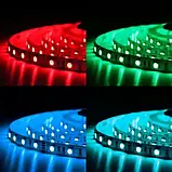 Світлодіодна стрічка BIOM Professional 5050-60 RGB, негерметична, 1 м, фото 4