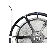 Світлодіодна стрічка OEM 2835-120 нейтральний білий, негерметична (50 м), 1 м, фото 2