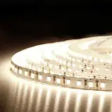 Світлодіодна стрічка BIOM Professional G.3 12В 2835-120 білий, негерметична, 1м, фото 2