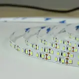 Світлодіодна стрічка BIOM Professional G.3 12В 2835-120 білий, негерметична, 1м, фото 3