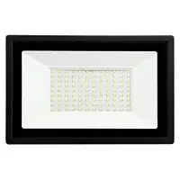Світлодіодний прожектор AREAL 100W PR-100 6200 K 220 V IP65