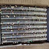 Магніт неодимовий 10х2 зі скотчем 3 м (самоклейка), 50 шт., фото 3