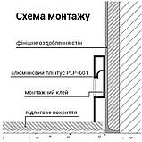 Плінтус під підсвічування алюмінієвий BIOM PLP-601 200 см, 1 м, фото 4