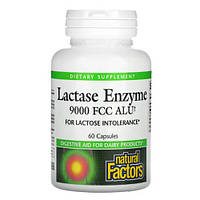 Natural Factors Lactase Enzyme 60 капсул HS