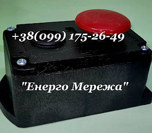 Пост кнопковий ПКЕ 222-1 (грибкова)