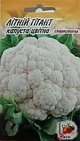 Капуста кольорова Літній гігант насіння 0,5 г
