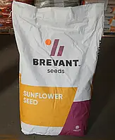 Семена подсолнечника BREVANT Гранстар гибрид P64LE99