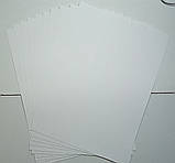 Папір для акварелі А3 10 аркушів в папці, 200г/м3 (папір акварельний, для малювання аквареллю), фото 5