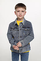 Куртка для мальчика SD 1171 104 см Синий (2000989561736) XE, код: 8114919