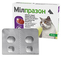 KRKA Milprazon МИЛПРАЗОН антигельминтик для котов весом 2-12кг, таблетки від 2 кг, 2 шт./пак. (ціна за 1