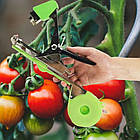 Степлер для підв'язування рослин винограду, садовий підв'язувач помідор тапенер +10 000 скоб і стрічки 10 штук, фото 2