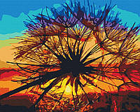 Картина за номерами Кульбаба на заході літа 40x50 см Brushme Різнобарвний (2000002763024)