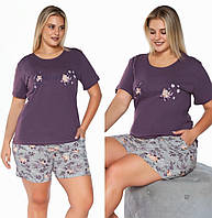 Пижама батал футболка и шорты с карманами 5023, Фиолетовый, 4XL