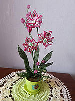 Орхидея розовая из бисера.