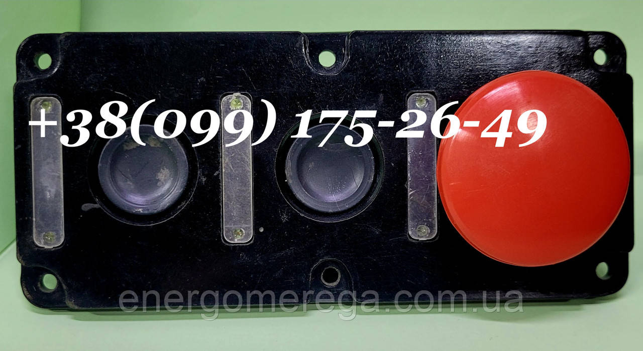 Пост кнопковий ПКЕ 222-3 (грибковий)