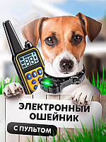 Ошейник электронный с ду до 800м Электрический ошейник для собак с пультом, Ошейник для собак с вибрацией, AST