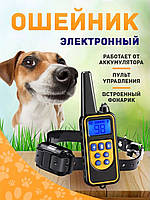 Собачий електронашийник (до 800м), Електрошоковий нашийник, Нашийник для собак для дресирування, AST