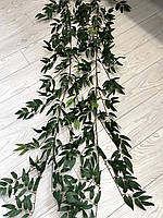 Рускус декоративный . Искусственная лиана рускуса ( 160 см )