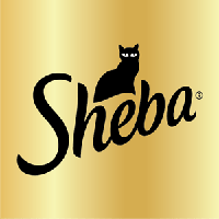 Sheba Cat