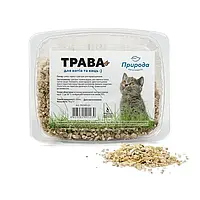 Трава для котів Природа 70 г у зернах