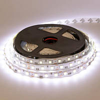 Лента диодная LED 12V-4040-8mm-60D White BRT001