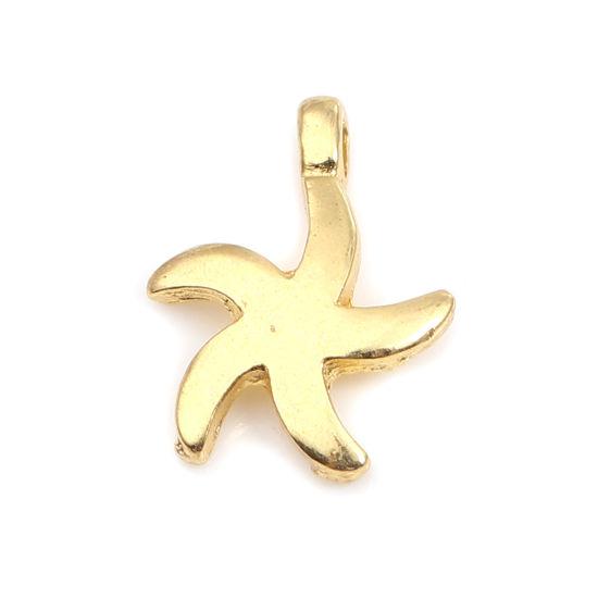 Підвіска Finding Кулон морська зірка Золотистий 15 мм x 11 мм, фото 1